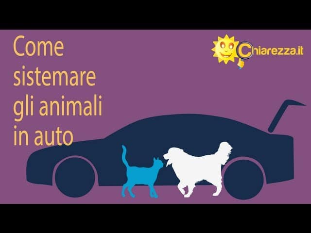 Animali in auto: come sistemarli - Consigli di Chiarezza.it
